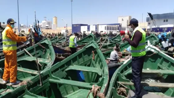 بوجدور .. مندوبية الصيد تُخضع قوارب الصيد التقليدي للإحصاء استعدادا للموسم الشتوي للاخطبوط 2025
